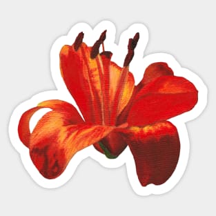 Orange lily flower Sticker